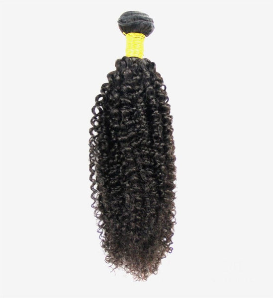 Brazilian Kinky Curly Hair